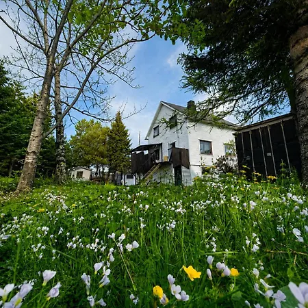 Alfa - The Lowfo House Lofoten Albergue *