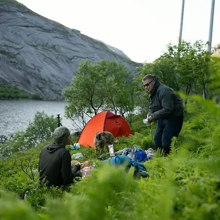 Alfa - The Lowfo House Lofoten Albergue