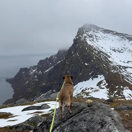 Albergue Alfa - The Lowfo House Lofoten